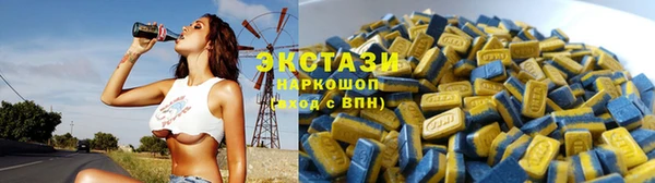 крисы Богородицк
