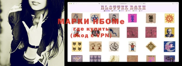 крисы Богородицк