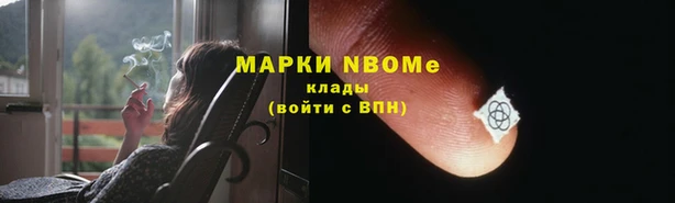 крисы Богородицк