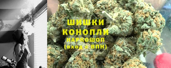 крисы Богородицк