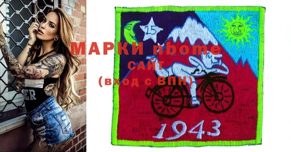 крисы Богородицк