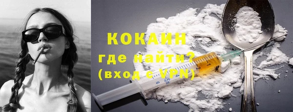 крисы Богородицк