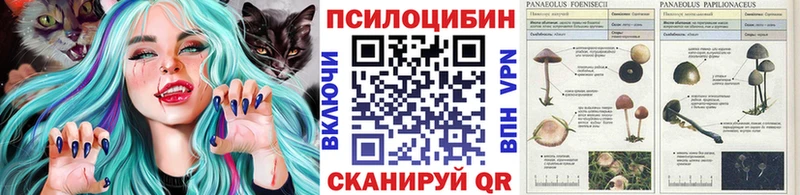 OMG зеркало  Горно-Алтайск  Псилоцибиновые грибы прущие грибы  купить  сайты 