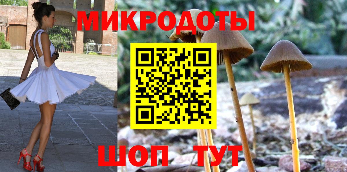 сколько стоит  Псилоцибиновые грибы прущие грибы  Вход с VPN  Горно-Алтайск 