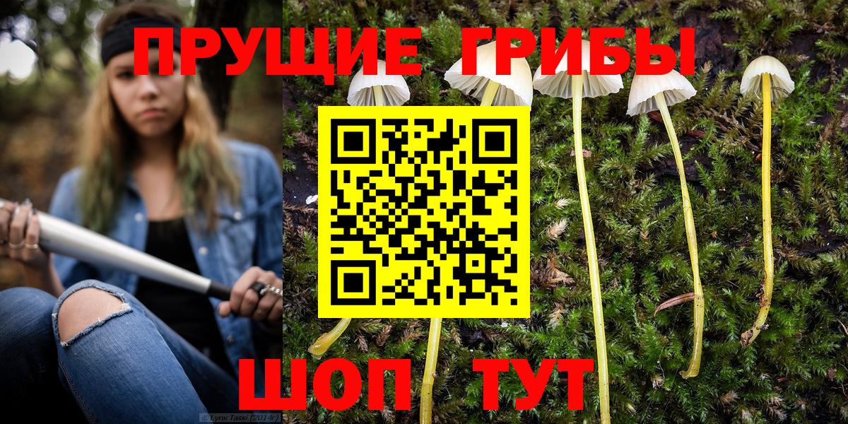 Галлюциногенные грибы GOLDEN TEACHER Горно-Алтайск